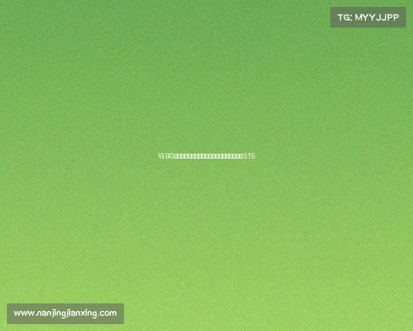 WBG斩获东北亚电竞嘉年华桂冠,全华班阵容剑指S15